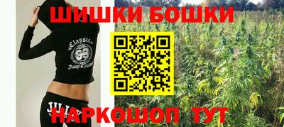 тгк Сланцы