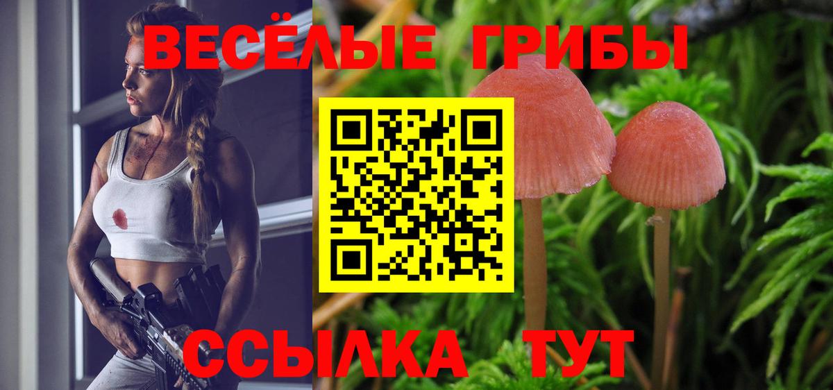 Псилоцибиновые грибы Cubensis Орехово-Зуево